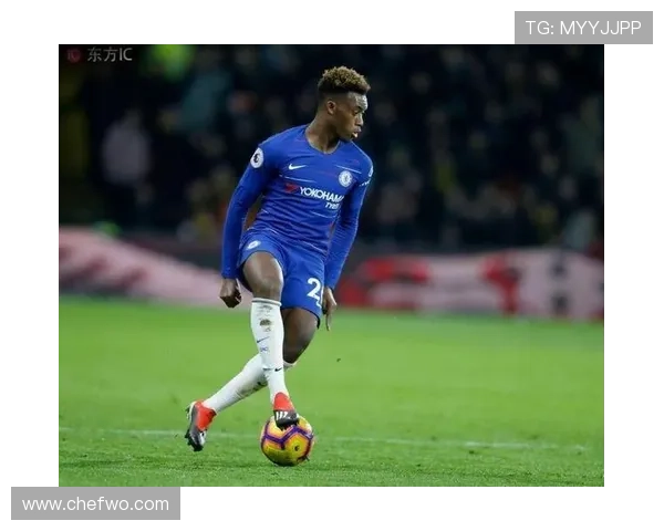 卡勒姆·哈德森-奥多伊本赛季状态回暖，表现稳健值得关注