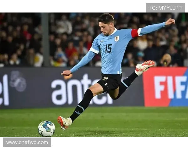 巴尔韦德 vs 罗德里:谁是更高效的组织核心与防守屏障?