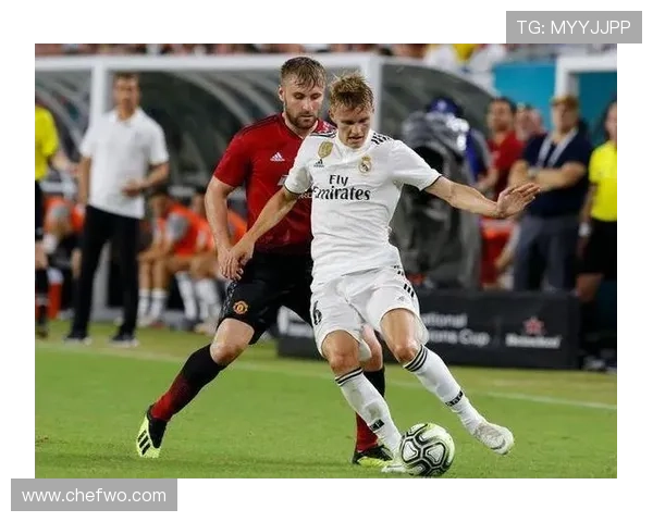 厄德高与梅西：技术结构与效率差距分析